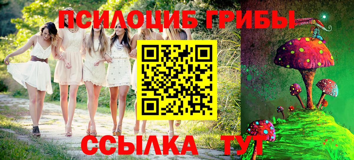 наркотики  Вход с VPN  Калуга  Галлюциногенные грибы Magic Shrooms  Галлюциногенные грибы Psilocybine cubensis 